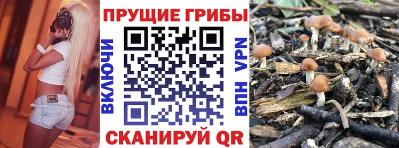 Галлюциногенные грибы Magic Shrooms  Ишим 